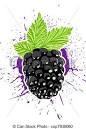 vector clipart of vector berry vector blackberry with splash on