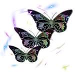 png neon butterfly clip art with fantasy glow by jssanda on deviantart