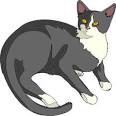 gatto cat clip art vector clip art online royalty free