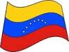tn venezuela flag