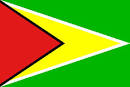 bandera de guyana guyana bandera