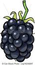 eps vectors of blackberry fruit cartoon illustration cartoon