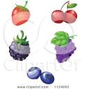 royalty free rf blackberry clipart illustrations vector graphics