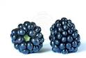 two of blackberries clipart