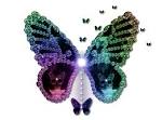 multi coloured butterfly clip art design png by jssanda on deviantart