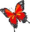 pequenas estrellas imagenes para facebook de mariposas