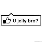 facebook jelly bro like meme joke lol lulz funny pic pictures lol