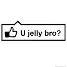 facebook jelly bro like meme joke lol lulz funny pic pictures with