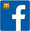 emoticones emoji de gatos para el chat de facebook emoticones
