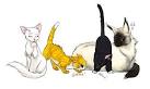 gatos de anime para compartir con sus amigos en facebook
