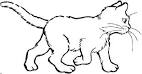 gatos colouring pages page