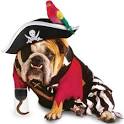 dog halloween costumes pirate
