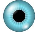 ojos celestes clip art vector clip art online royalty free
