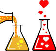 la quimica del amor biologiaparahipopotamos