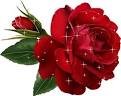 una rosa para ti juntando corazones