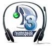 teamspeak slots from euros per month thedns